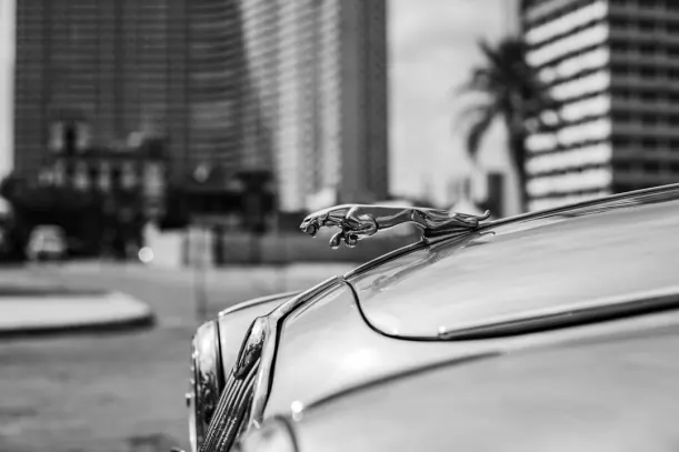 20Bets Kaszinó Android/iOS Alkalmazás